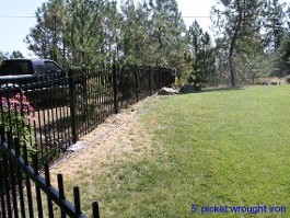 Wrought Iron Fence