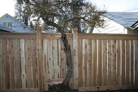 Wood Fence Around Tree