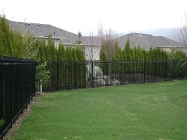 Iron Fence 4