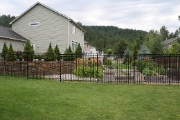 Iron Fence 1