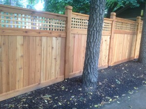 Staggered Wood Fence Behind a Tree